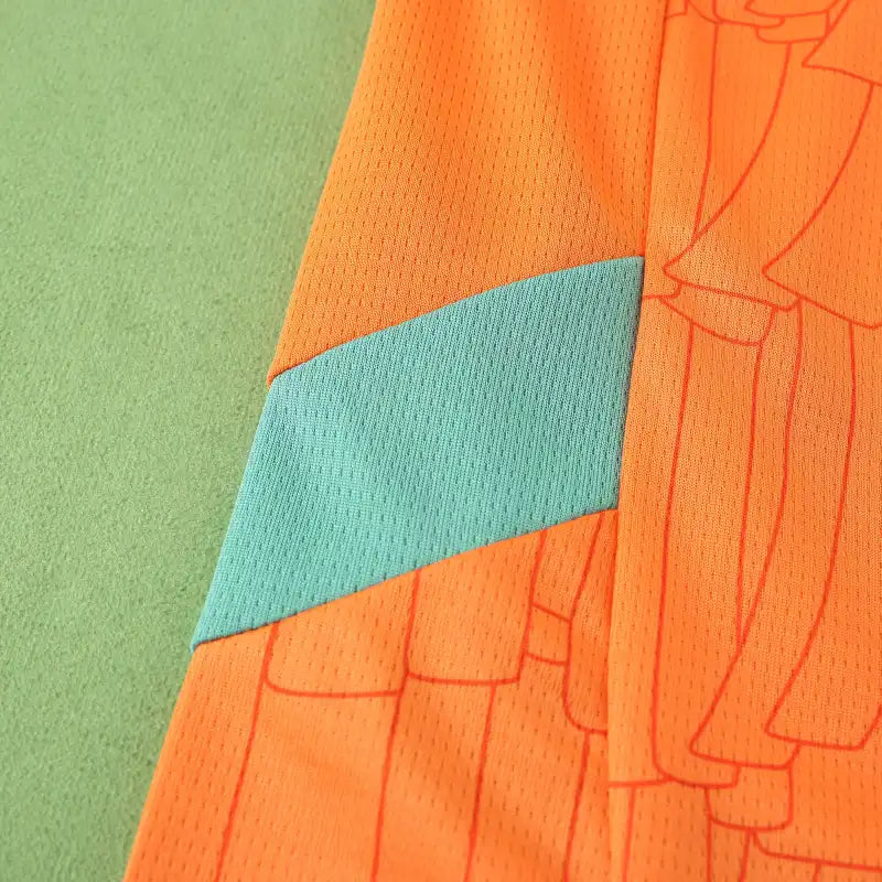 2526 season Côte d'Ivoire home Fan version