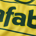 2425 season Celtic F.C. away Fan version