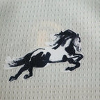 2526 season Manchester City F.C. Year of the Horse Fan version