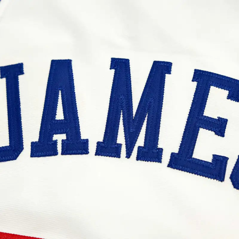 NBA Kung Fu Dunk 23#JAMES
