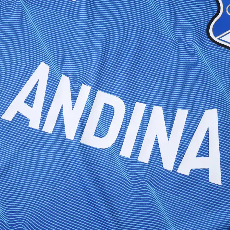 2526 season Millonarios Fútbol Club home Fan version
