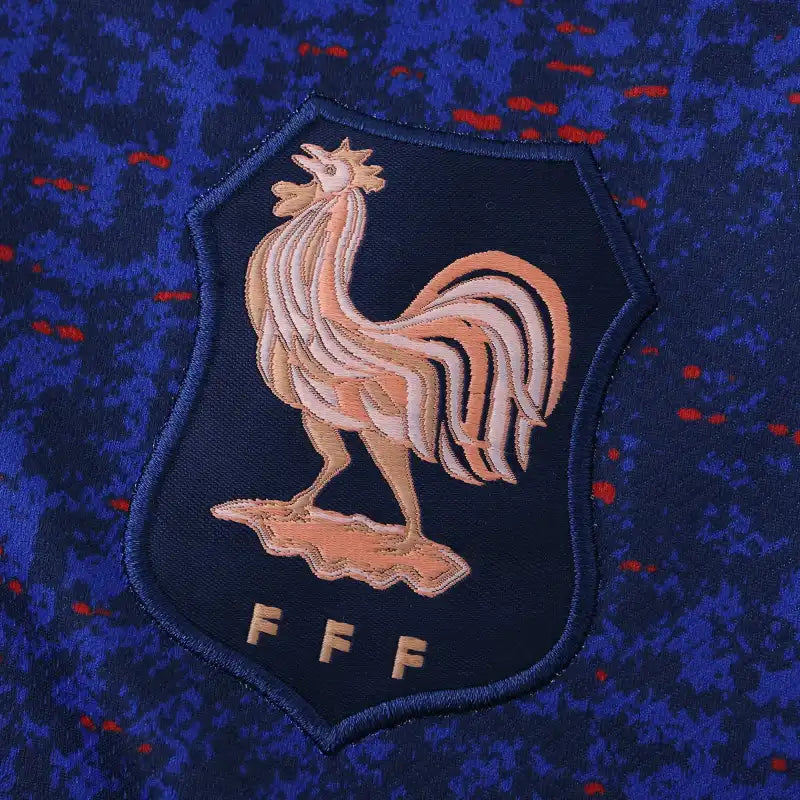 2526 season France home Fan version