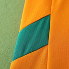 2425 season Valencia CF third Fan version