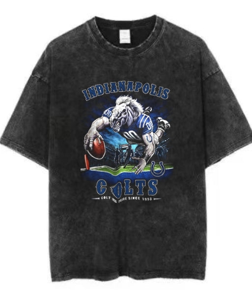 INDIANANPOLIS COLTS Vintage t-shirt 2506A013