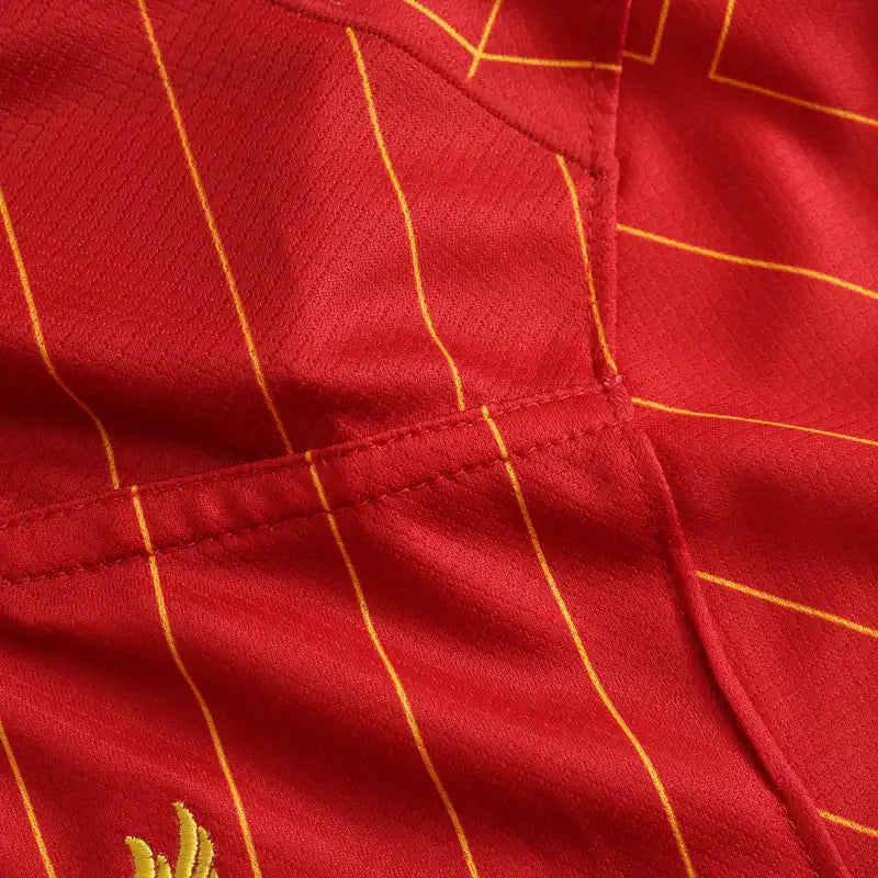 2425 season Liverpool home Fan version