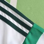 2425 season Celts home Fan version