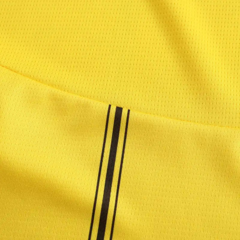 2425 season Dortmund home Fan version