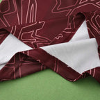 2425 season Denmark home Fan version