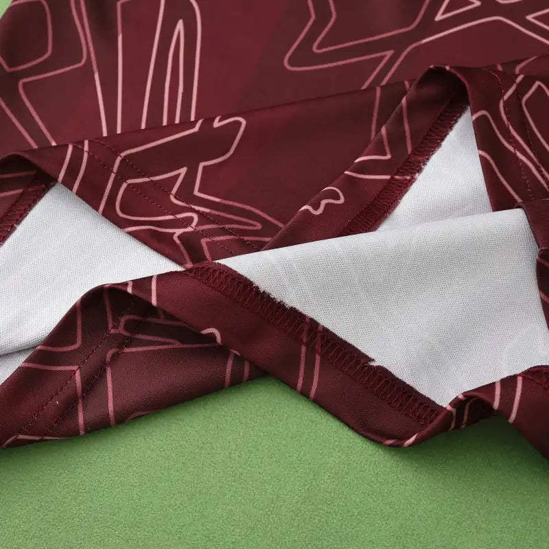 2425 season Denmark home Fan version