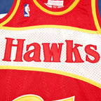 NBA Atlanta Hawks 21#WILKINS
