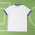 2526 season GNK Dinamo Zagreb away Fan version