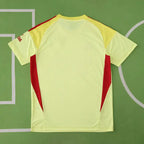 2526 season Arsenal F.C. goalkeeper Fan version