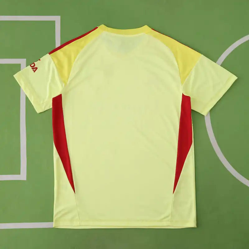 2526 season Arsenal F.C. goalkeeper Fan version