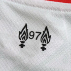 2425 season Liverpool third Fan version