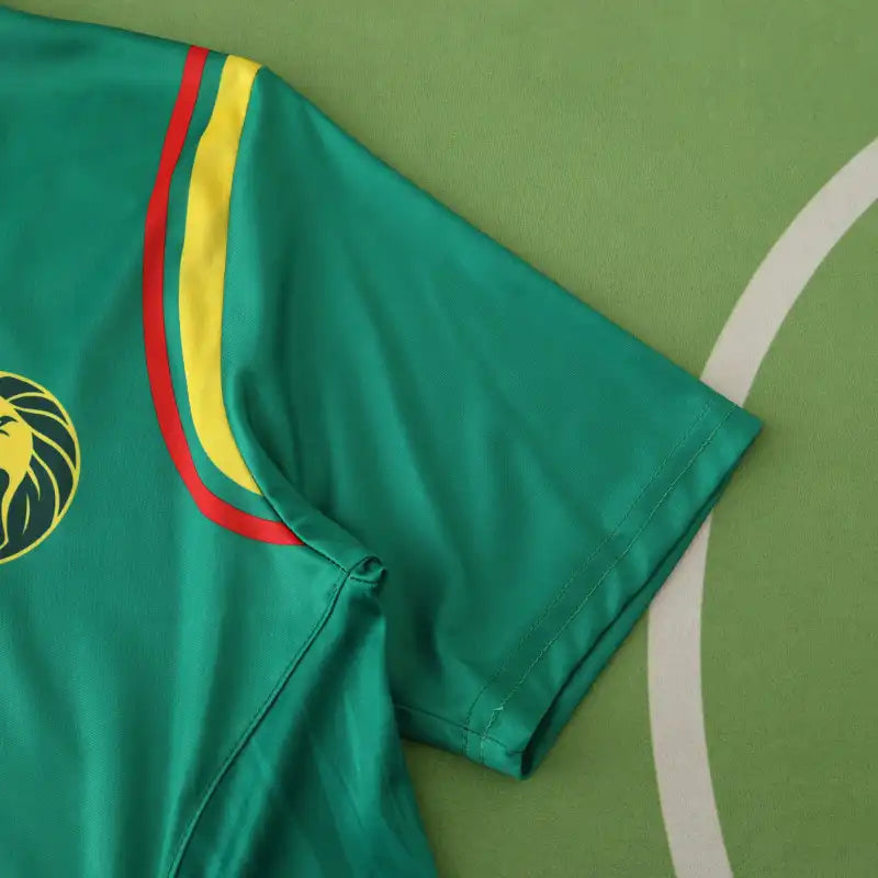 2425 season Cameroon home Fan version