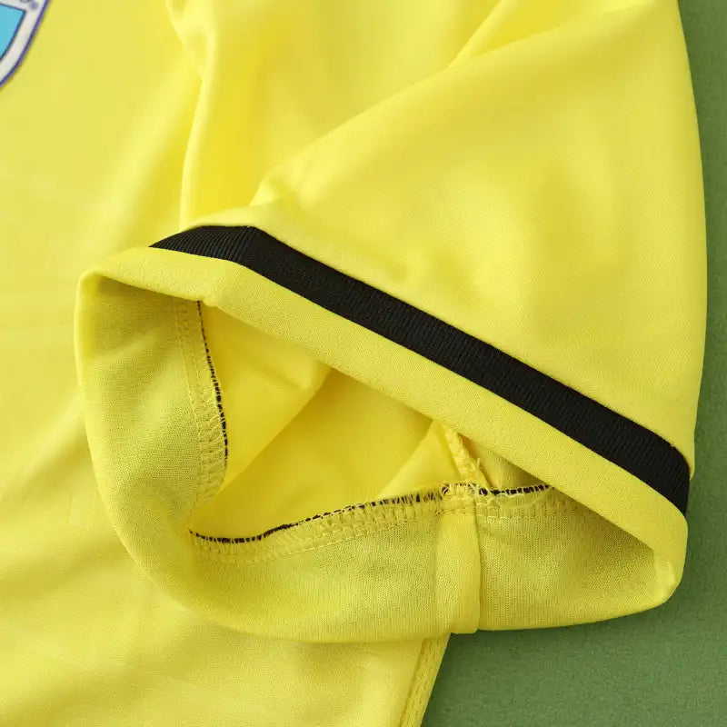 2425 season S.S. Lazio away Fan version