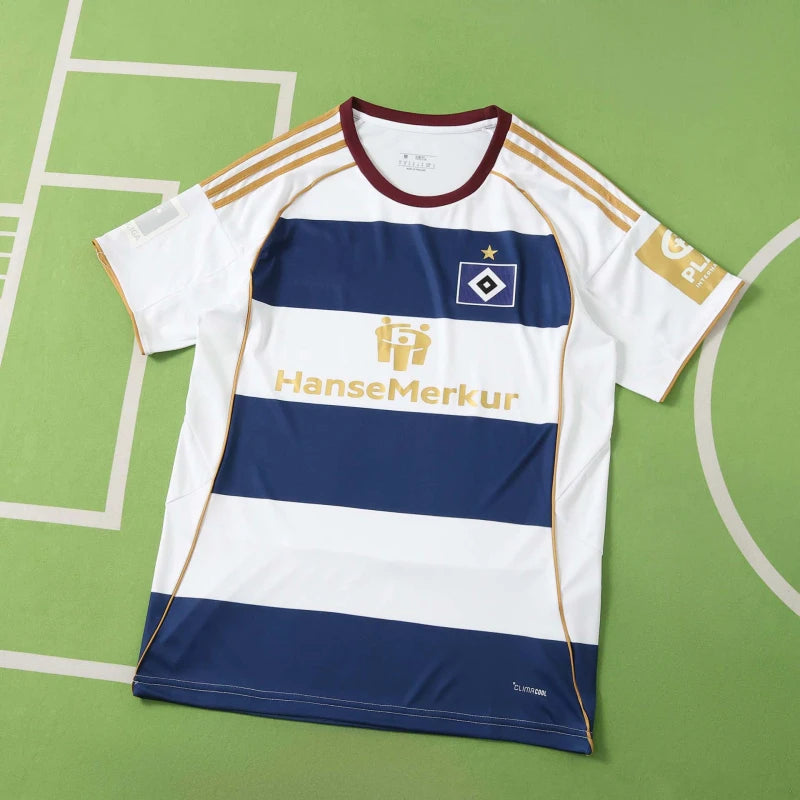 2627 season  Hamburger SV  Concept version Fan version