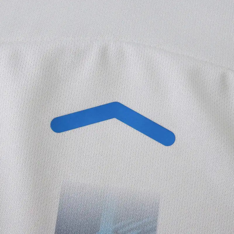 2526 season Atalanta B.C. away Fan version