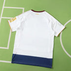 2627 season  Hamburger SV  Concept version Fan version