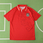 9294 season Wales home retro Fan version