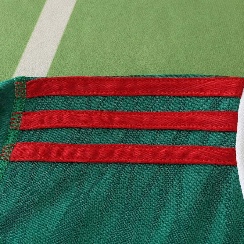2010 season Mexico home Fan version