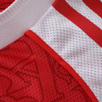 2526 season Arsenal F.C. home Player version