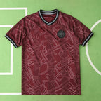 2425 season Denmark home Fan version