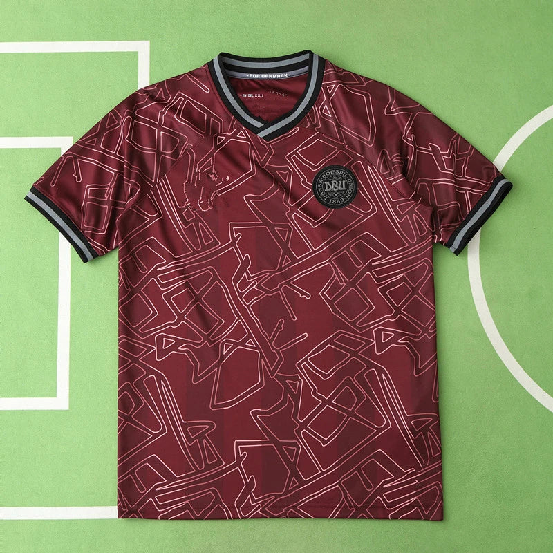2425 season Denmark home Fan version