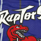 NBA Toronto Raptors 1NO MCGRADY