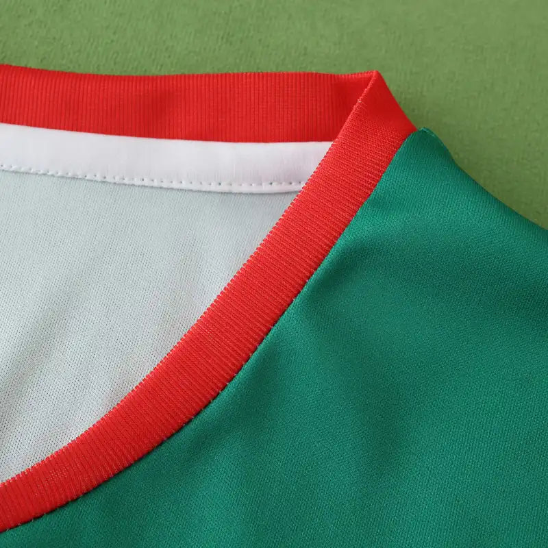2425 season Cameroon home Fan version