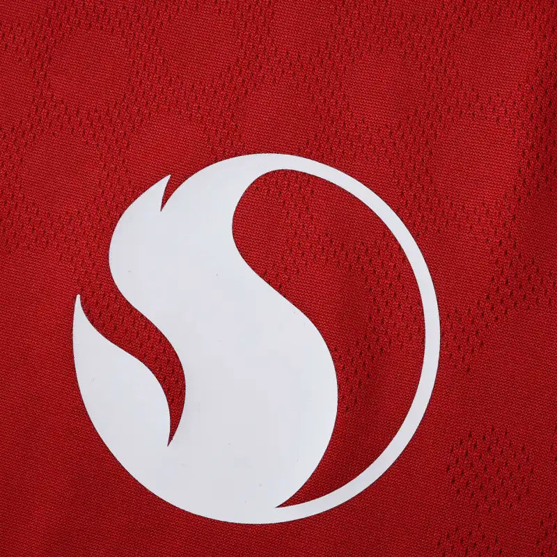 2526 season Manchester United F.C. home Player version