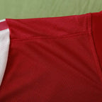 11-12 season Arsenal 120th anniversary Fan version
