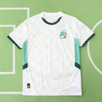 2526 season Côte d'Ivoire away Fan version