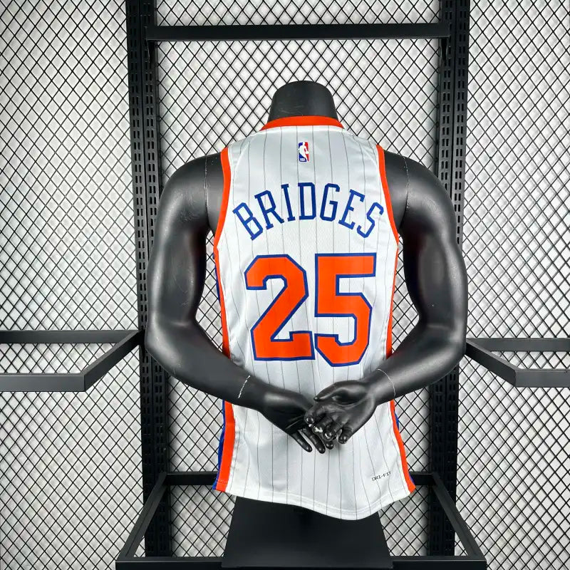 NBA New York Knicks 25#BRIOGES