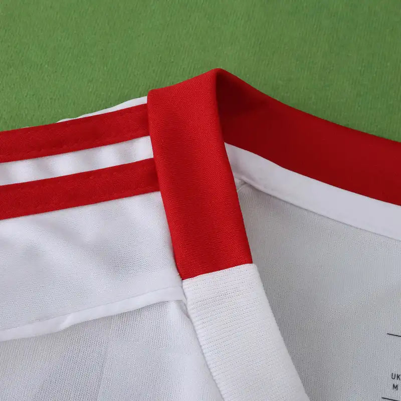 2526 season S.L. Benfica third Fan version