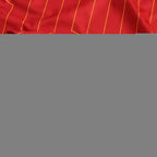 2425 season Liverpool home Fan version