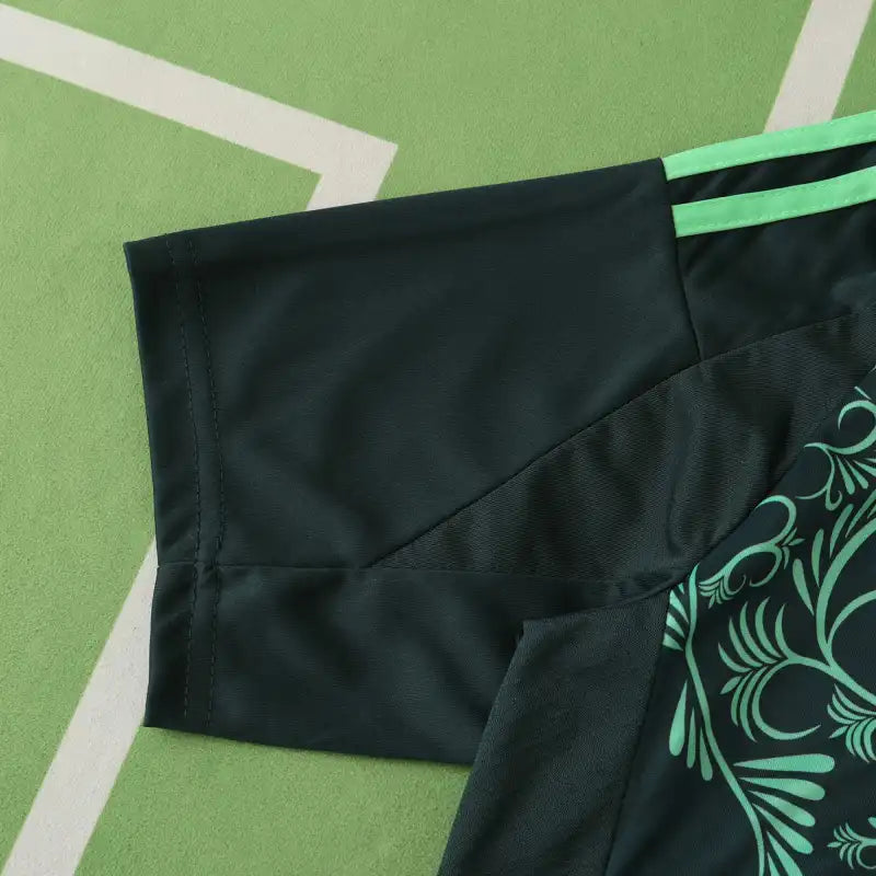 2425 season Algeria away Fan version
