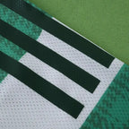 2526 season Celtic FC home Player version