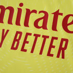 2526 season Arsenal F.C. goalkeeper Fan version