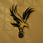 2526 season Crystal Palace F.C.  away Fan version