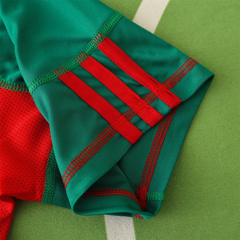 2010 season Mexico home Fan version