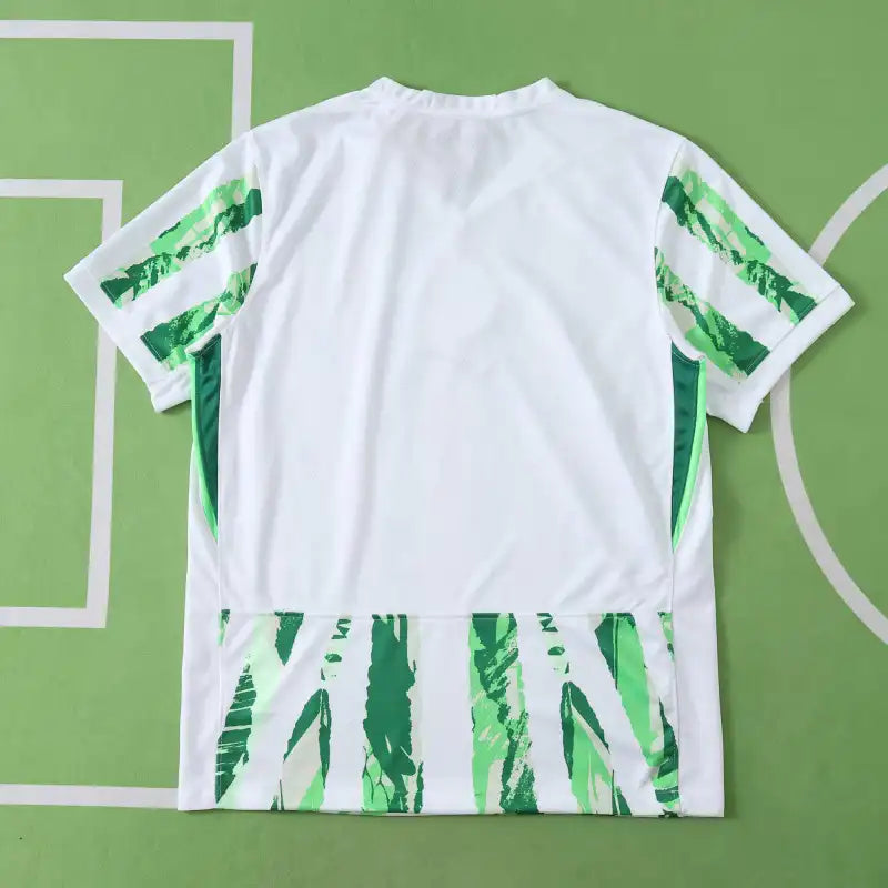 2526 season Nigeria home Fan version
