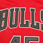 NBA Chicago Bulls 45#JORDAN