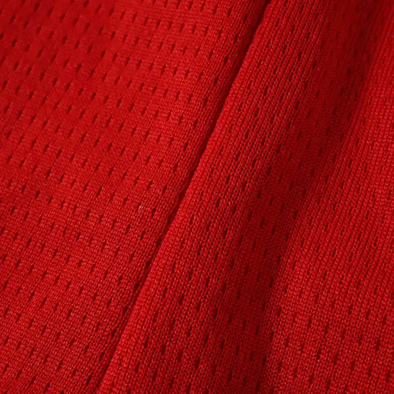 2627 season Arsenal F.C. home Fan version