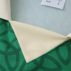 2526 season Ireland Concept version Fan version