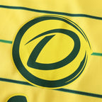 2425 season Celtic F.C. away Fan version
