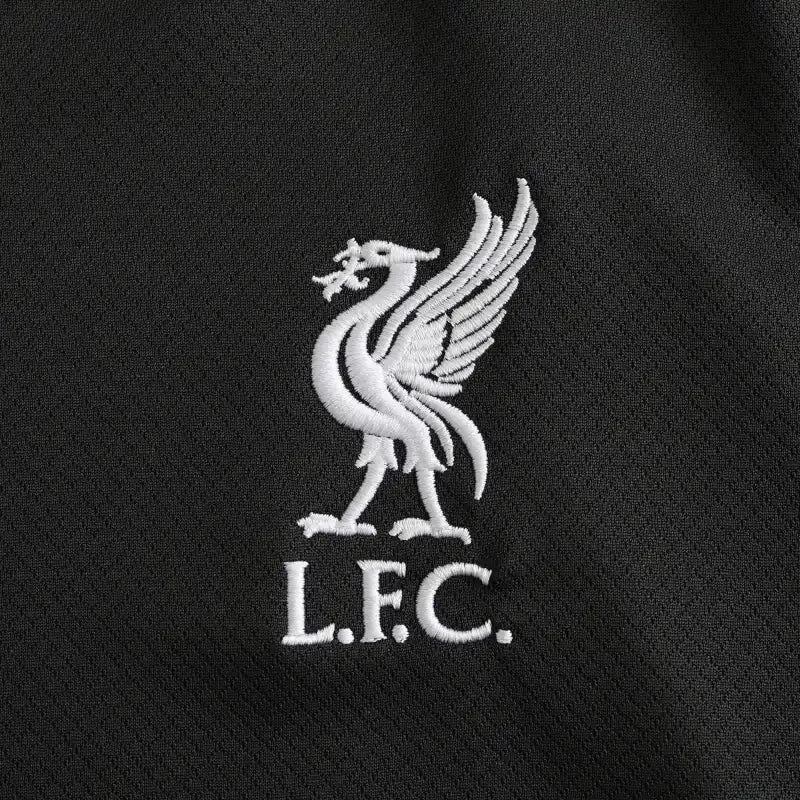 2425 season Liverpool away Fan version