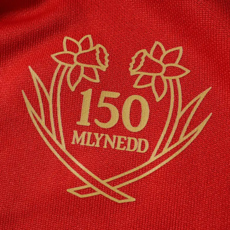 150th anniversary Wales Long sleeve Fan version