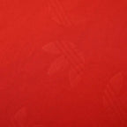 2425 season Fußball-Club Bayern München Concept version Fan version