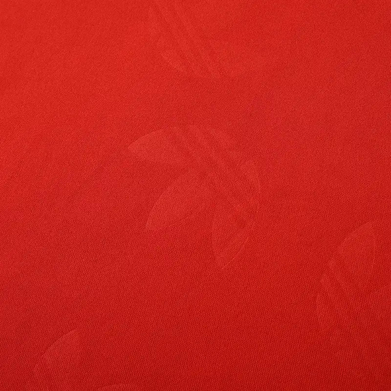 2425 season Fußball-Club Bayern München Concept version Fan version